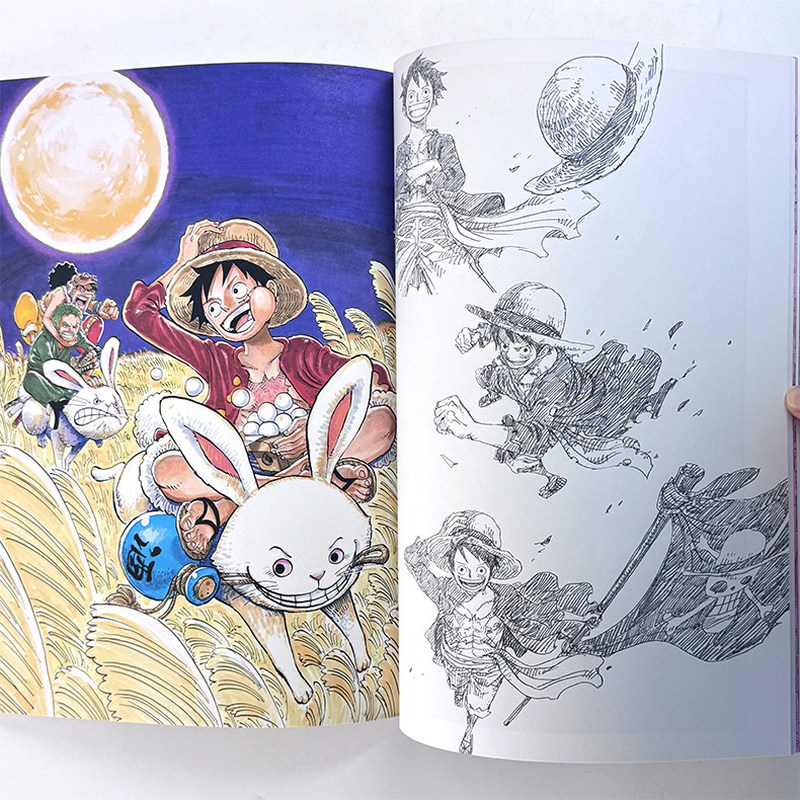 ワンピースイラストブック「カラー・ウォーク9」。公式アニメア - Stationery Books のレビューと価格